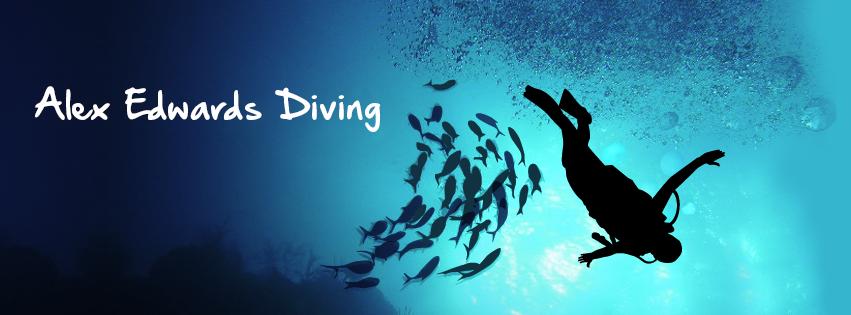 Alex Edwards Diving