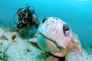 Captain Alex Edwards and his dive buddy Turtle
