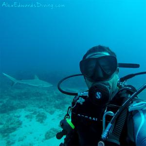 Capt. Alex Edwards taking a selfie with a shark